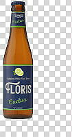 F2 - FLORIS-cactus-fles.png